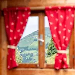 Apartment Zaustoi Altes Haus Wildschoenau