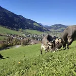 Zaustoi Altes Haus Wildschoenau