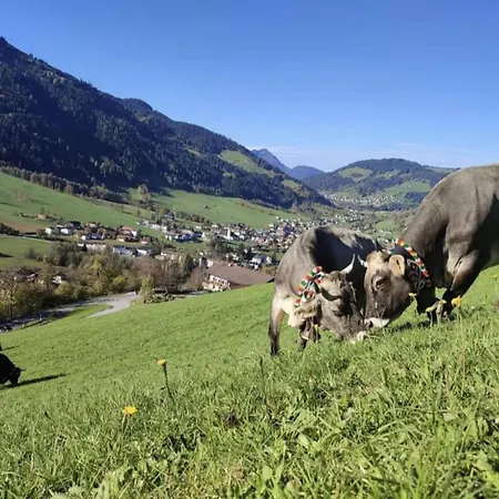 Zaustoi Altes Haus Wildschönau