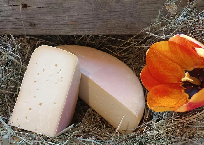 Lejlighed Zaustoi Altes Haus