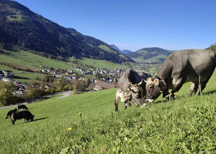 Zaustoi Altes Haus Wildschoenau