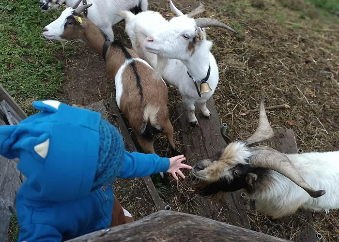 Lejlighed Zaustoi Altes Haus Wildschoenau