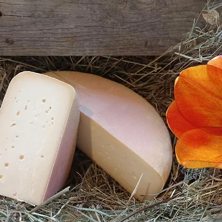 Apartment Zaustoi Altes Haus