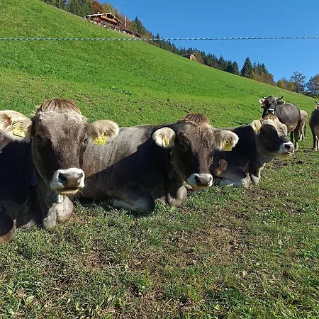 Zaustoi Altes Haus Wildschoenau