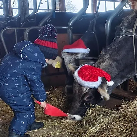 Zaustoi Altes Haus *