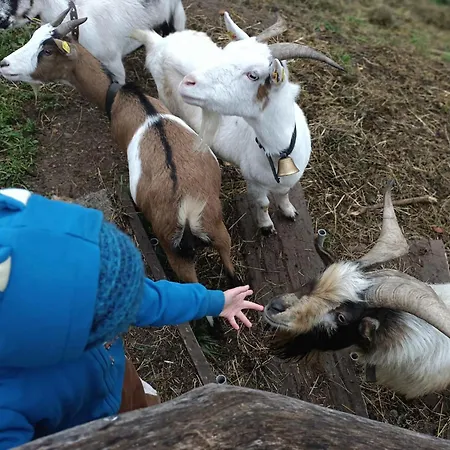 Apartment Zaustoi Altes Haus Wildschoenau