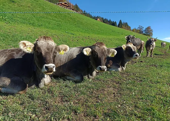 Zaustoi Altes Haus Niederau
